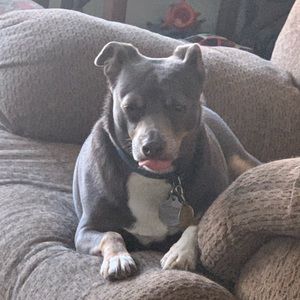 Meet your Posher, Sabrina